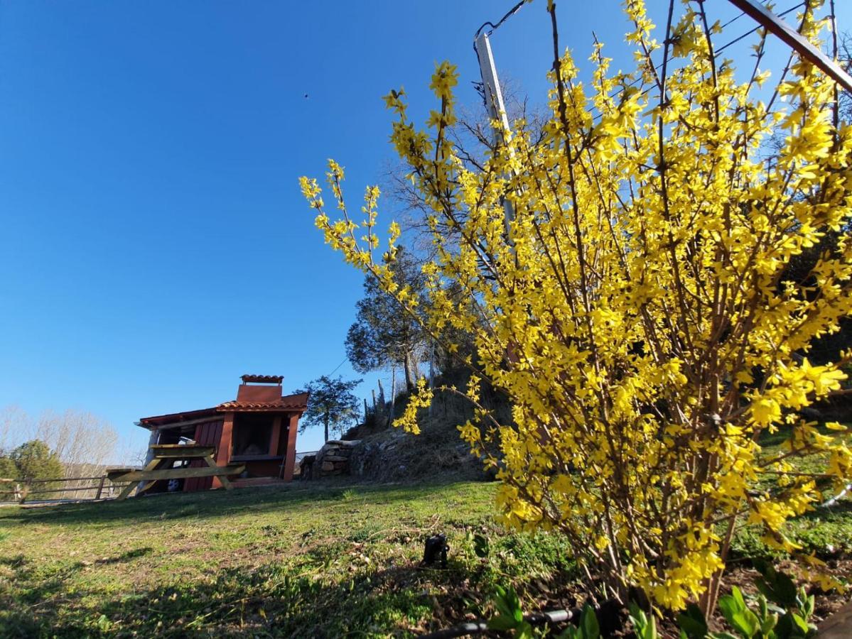 Casa Rural Manitoba Luxe Buenache de la Sierra ภายนอก รูปภาพ